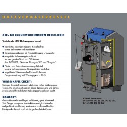 Atmos DC 22 GSE autom. Zündung ACD04 Pumpengruppe